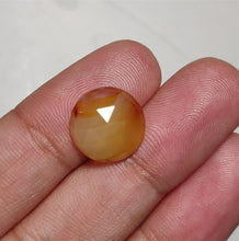 Load image into Gallery viewer, Rose Cut Montana Agate
