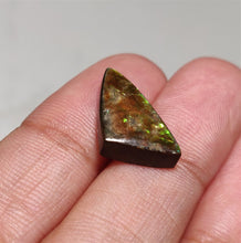 Load image into Gallery viewer, Rare Canadian Ammolite

