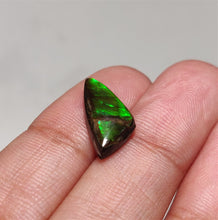 Load image into Gallery viewer, Rare Canadian Ammolite
