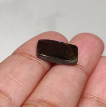 Load image into Gallery viewer, Rare Canadian Ammolite
