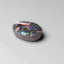 Load image into Gallery viewer, Abalone Shell Cabochon
