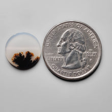 Load image into Gallery viewer, Scenic Agate Cabochon
