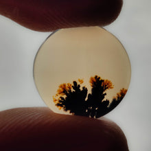 Load image into Gallery viewer, Scenic Agate Cabochon
