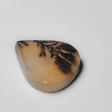 Load image into Gallery viewer, Scenic Agate Cabochon
