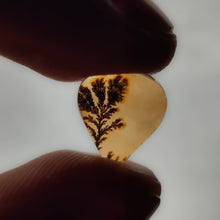 Load image into Gallery viewer, Scenic Agate Cabochon
