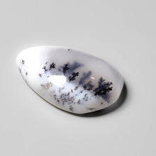 Load image into Gallery viewer, Dendritic Agate Cabochon
