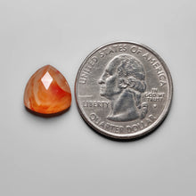 Load image into Gallery viewer, Rose Cut Lake Superior Agate
