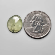 Load image into Gallery viewer, Rose Cut Prehnite
