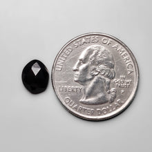 Load image into Gallery viewer, Rose Cut Black Onyx
