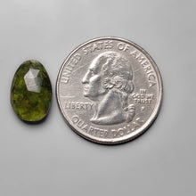 Load image into Gallery viewer, Rare Rose Cut Moldavite (Raw Back)
