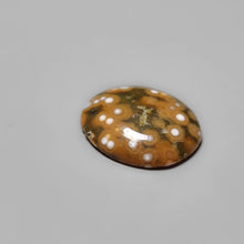 Load image into Gallery viewer, Ocean Orbicular Ocean Jasper
