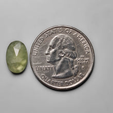 Load image into Gallery viewer, Rose Cut Prehnite
