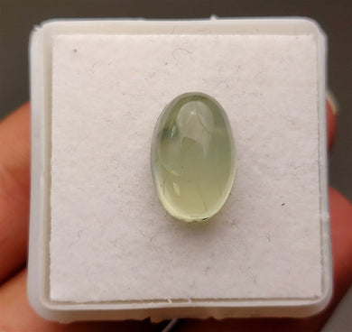 Prehnite Cabochon