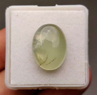 Prehnite Cabochon