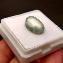 Load image into Gallery viewer, Prehnite Cabochon
