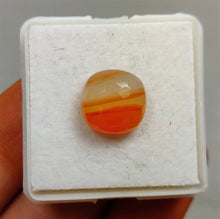 Load image into Gallery viewer, Honeycomb cut Lake Superior Agates
