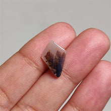 Load image into Gallery viewer, Scenic Dendritic Agate Cabs
