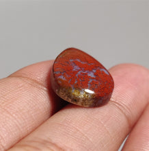 Load image into Gallery viewer, Opaque Red Moss Agate Cabs
