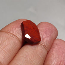 Load image into Gallery viewer, Rose Cut Arizona Red Petrified Wood
