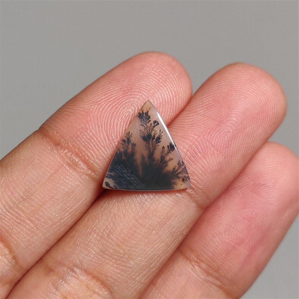 Scenic Dendritic Agate Cabs